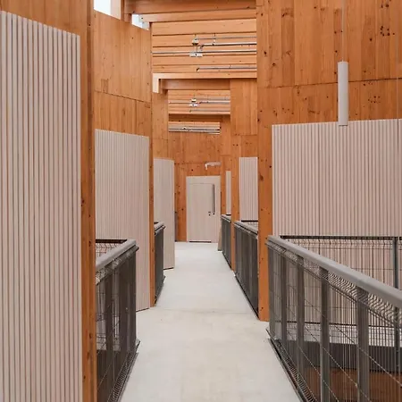 Kora Olea Aparthotel