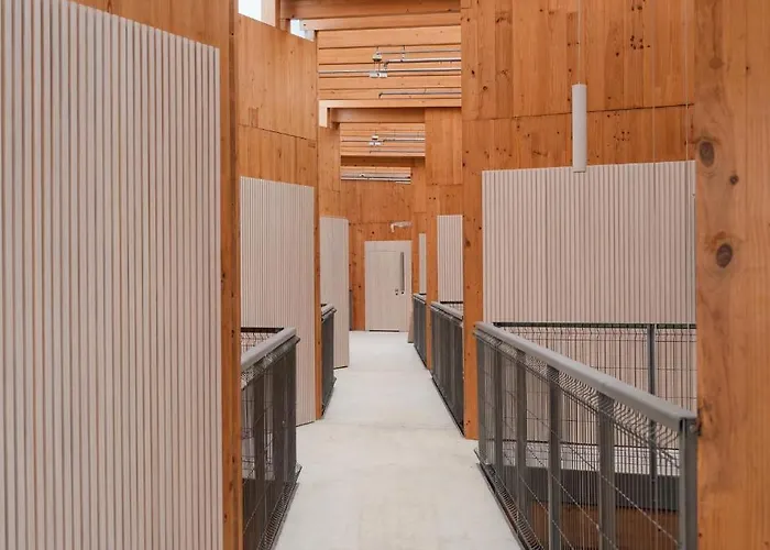 Kora Olea Aparthotel