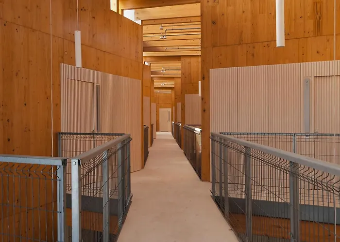 Hotel apartamentowy Kora Olea Torremolinos