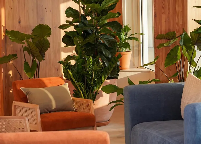 Aparthotel Kora Olea